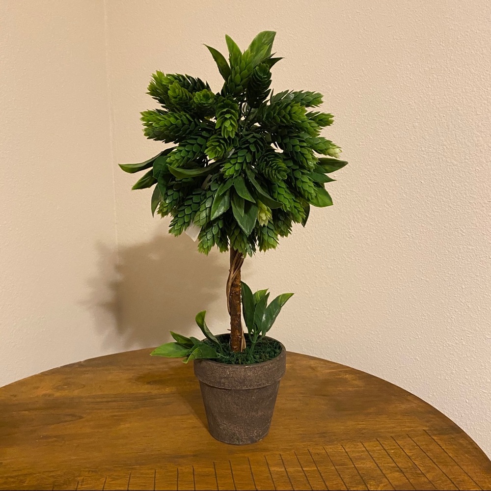 Artificial House Plant